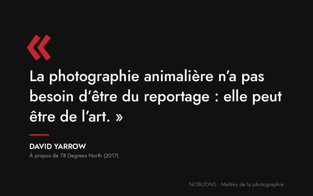 Citation de David Yarrow : « La photographie animalière n’a pas besoin d’être du reportage : elle peut être de l’art. »