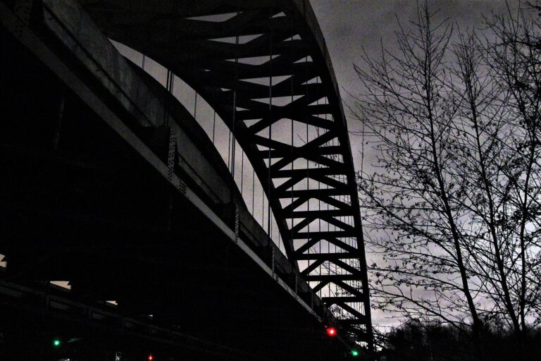 Critique photo : l’arche de nuit, un regard graphique trahi par la technique